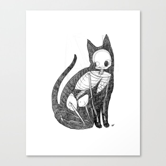 Cat Animus Canvas Print