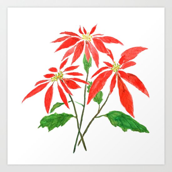 christmas flower Art Print