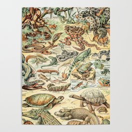 Reptiles II by Adolphe Millot // XL 19th Century Snakes Lizards Alligators Science Textbook Artwork Poster