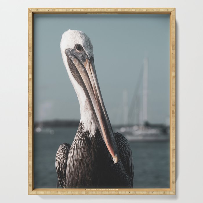 Bob The Pelican 3R Colorized Coastal Bird Wildlife Photograph Serving Tray And More