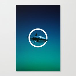 Shark. Canvas Print
