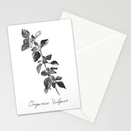 Oregano Botanical Illustration Stationery Cards