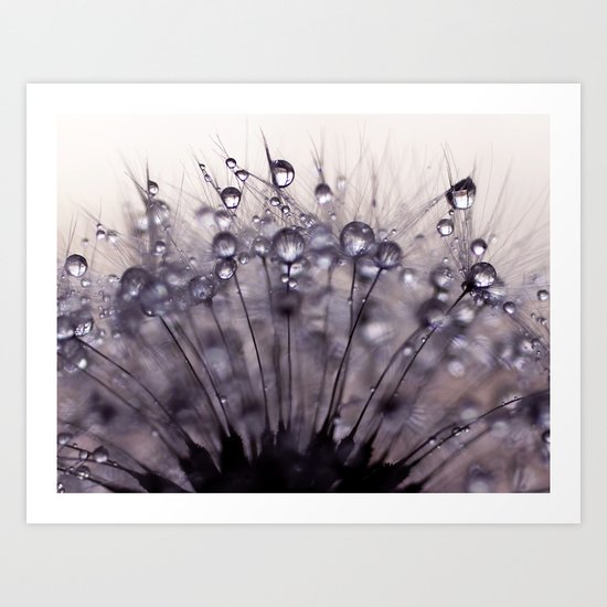 dandelion purple III Art Print