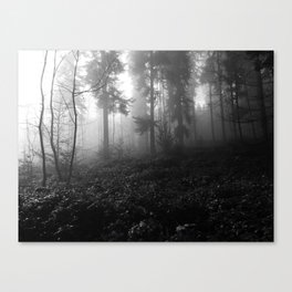 Walk through a misty forest Canvas Print