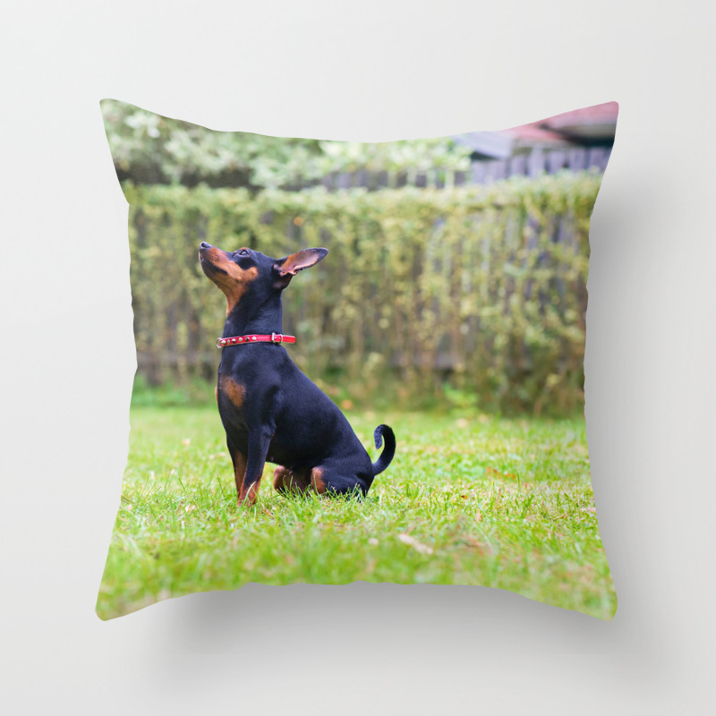 Outdoor Portrait Of A Red Miniature Pinscher Dog Sitting On The Grass Throw Pillow By Anytka Society6