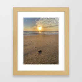 Sunset Baby Turtle Framed Art Print