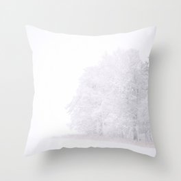 Snow Covered Trees By The Lake  Throw Pillow