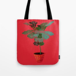 Fiddle leaf fig plant Tote Bag