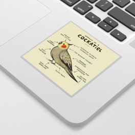 Anatomy of a Cockatiel Sticker