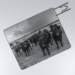 Hanging Out - Black and White Photo of Cows in Kansas Picnic Blanket