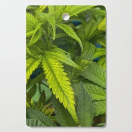 Cannabis Leaves Cutting Board