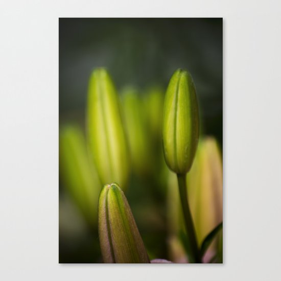 the healing Canvas Print