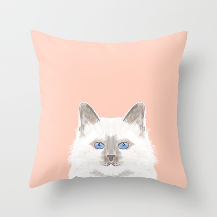 Roxie - White Birman Cat, Cute Kitten, White Cat Blue Eyes ...