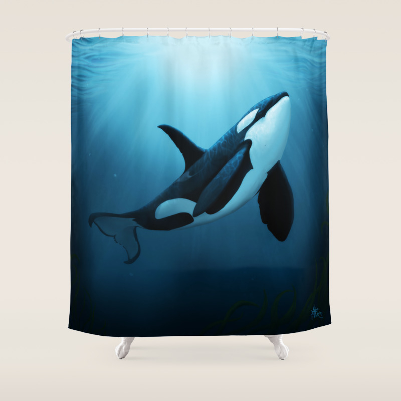 The Dreamer By Amber Marine Orca Killer Whale Art Copyright