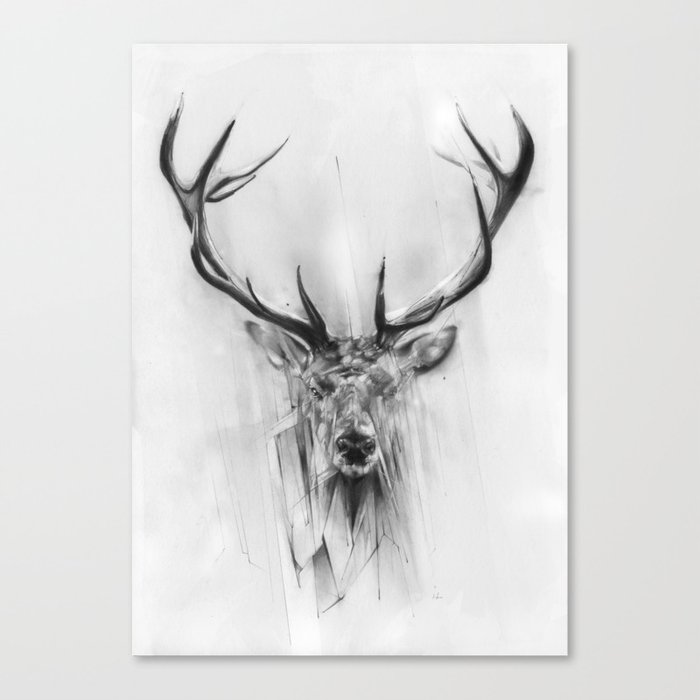 Red Deer Canvas Print