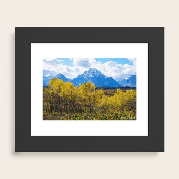 Framed Art Print