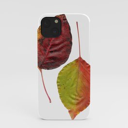 Fall Leaves Mother Nature iPhone Case
