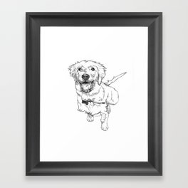 Golden Retriever Puppy Drawing Framed Art Print