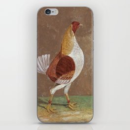 Fighting Cocks, a Pale-Breasted Fighting Cock, Facing Right  iPhone Skin
