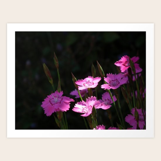Light Art Print