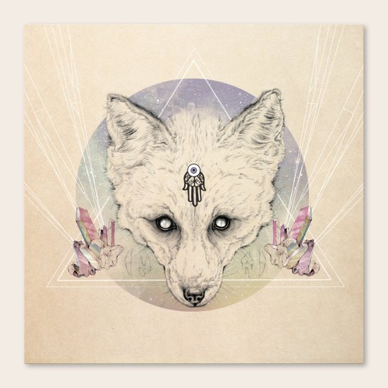 Mystic Fox Canvas Print