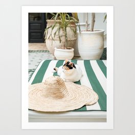 Cat in Marrakech | Travel Photography Art Print in Morocco | Botanical Riad in Green Art Print