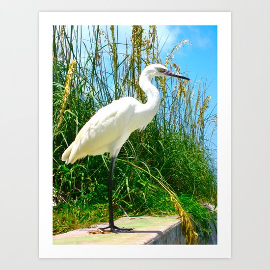 Voyeur Art Print