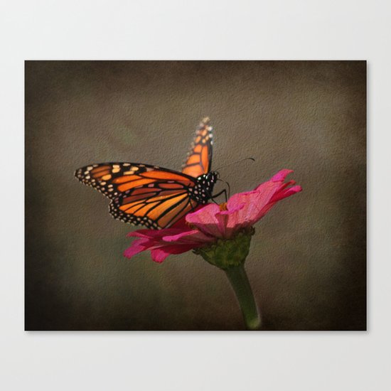 Prefect Landing - Monarch Butterfly Canvas Print
