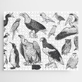 Birds of wildlife set. Eagles, owls, parrots, pelican, penguins, ibis, puffin isolated on white background. Tropical, exotic, water birds. Black white illustration. Vintage. Vintage. Realistic graphics Jigsaw Puzzle