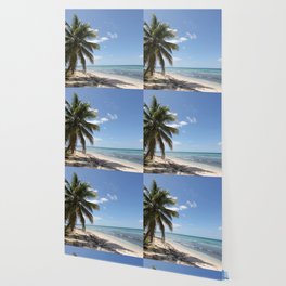 Dominican Republic Wallpaper For Any Decor Style Society6