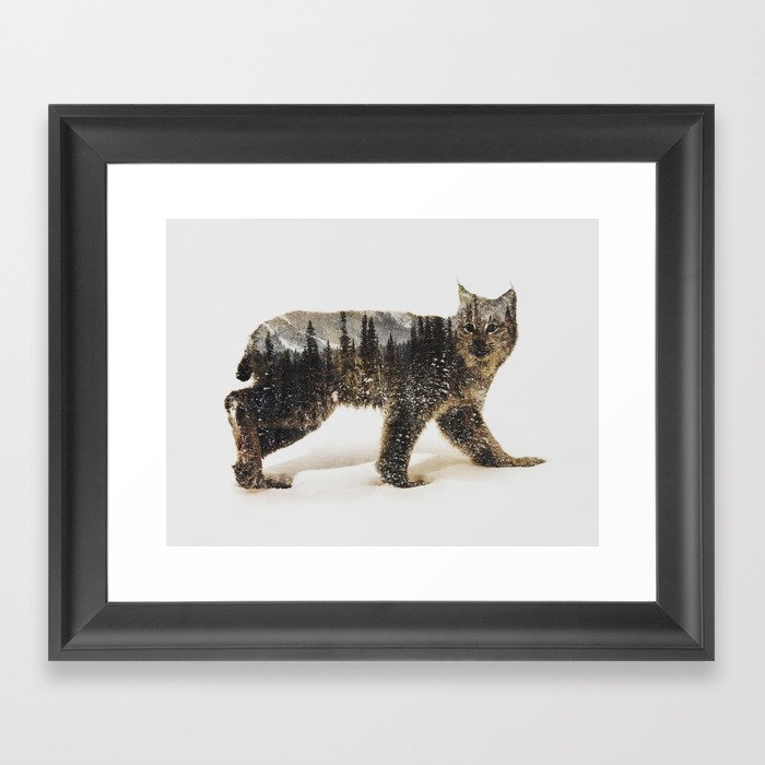 Arctic Lynx Framed Art Print