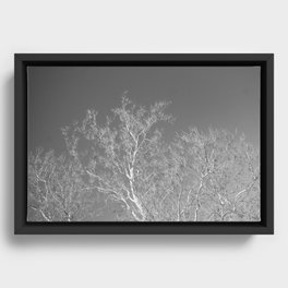 Spirit tree Framed Canvas