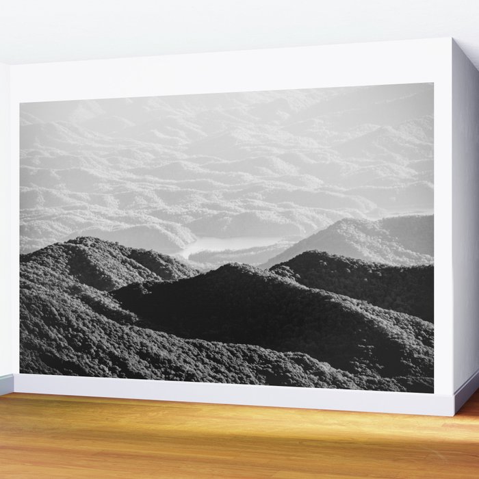 Smoky Mountain Black and White Forest Sunset - 125/365 ...