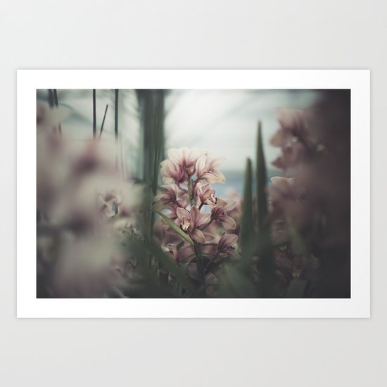 gods of gently Art Print
