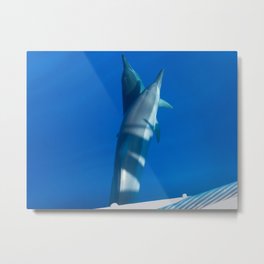 Twin dolphins Metal Print