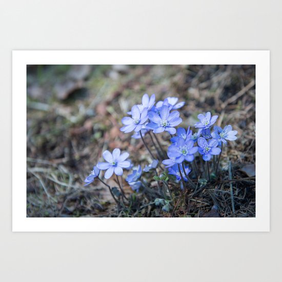 liverleaf Art Print