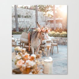 Donkey with Flower Crown Canvas Print