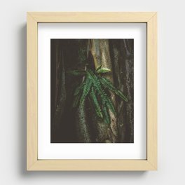 Tropical Fern Recessed Framed Print
