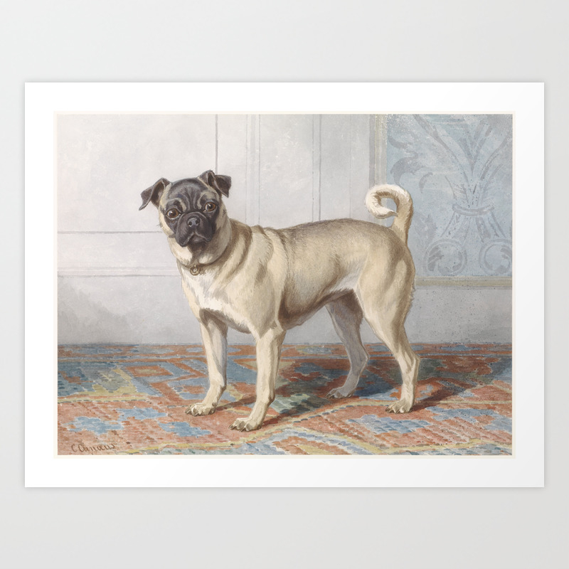 pug 1880