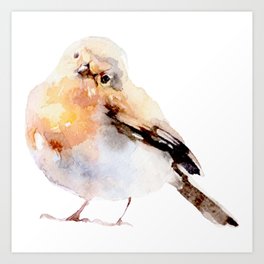 Watercolor Bird Painting Art Print