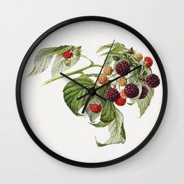 Purple Raspberry (Rubus Xneglectus) (1918) by Royal Charles Steadman Wall Clock