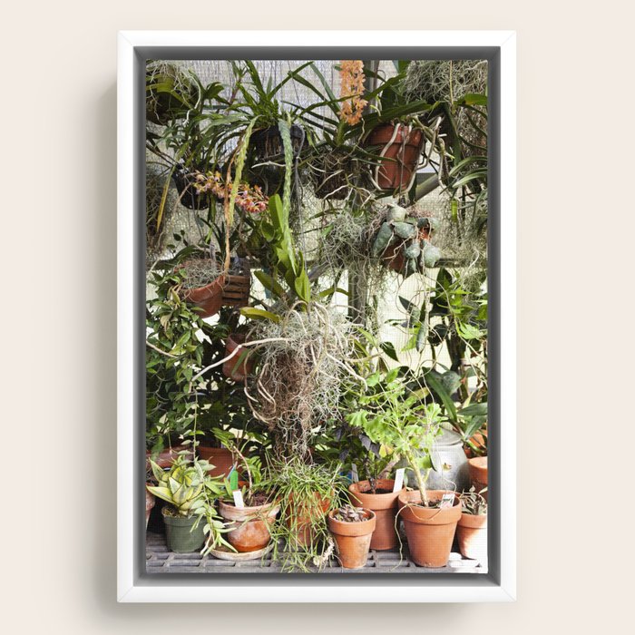 Framed Canvas