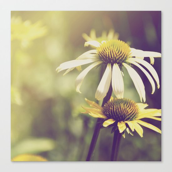 Sunshine flowers Canvas Print