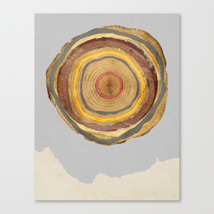 Tree Rings Canvas Print