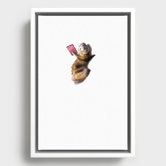 Framed Canvas