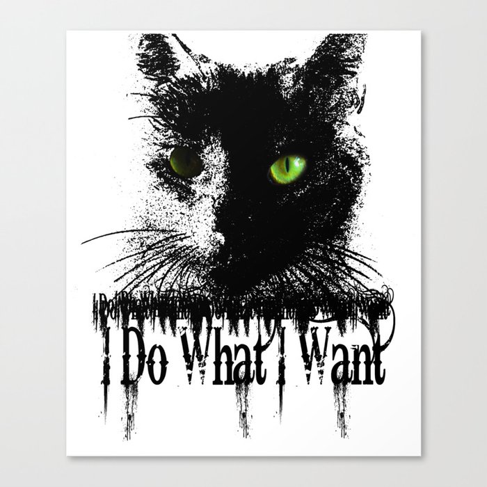 i do what i want  black cat Canvas Print