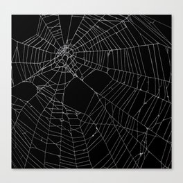 SpiderWeb Web Canvas Print