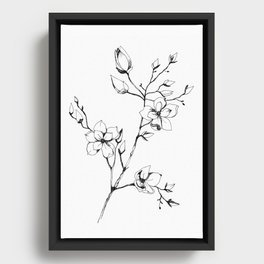 Magnolia pen drawing | Botanical Illustration in black and white  Framed Canvas