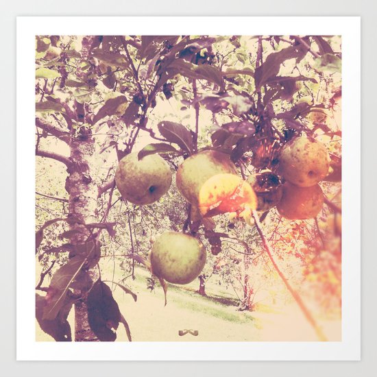 Harvest. Art Print