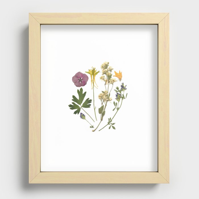 Herbarium Floral Arrangement Recessed Framed Print